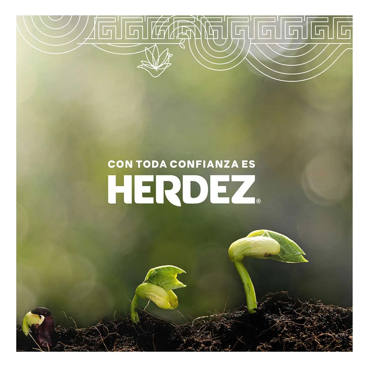 Salsa Tatemada y Martajada Roja Herdez 240g