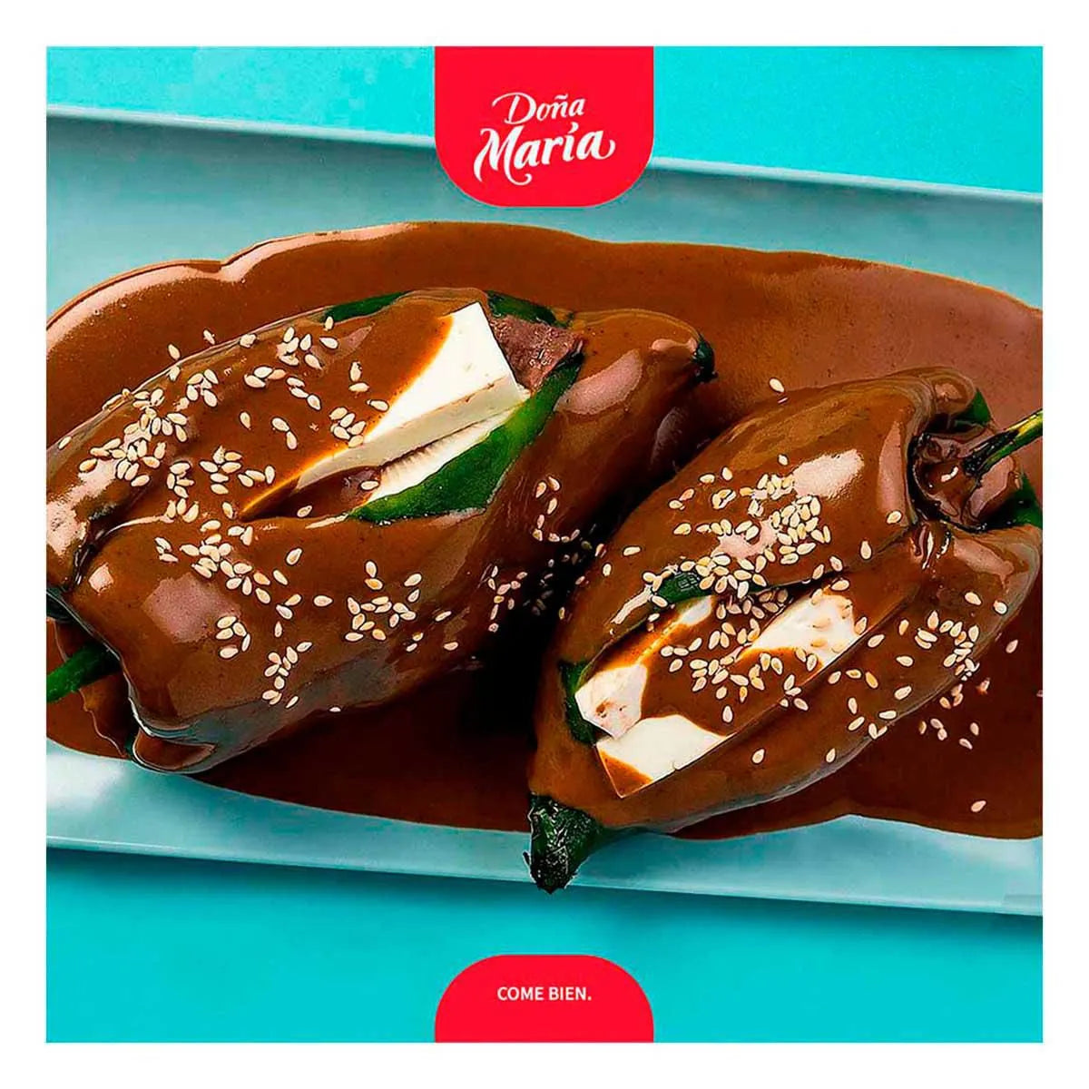 Mole Doña María Rojo en Pasta 235g